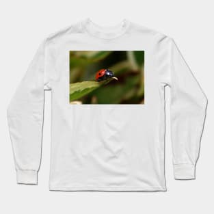 On the edge Long Sleeve T-Shirt